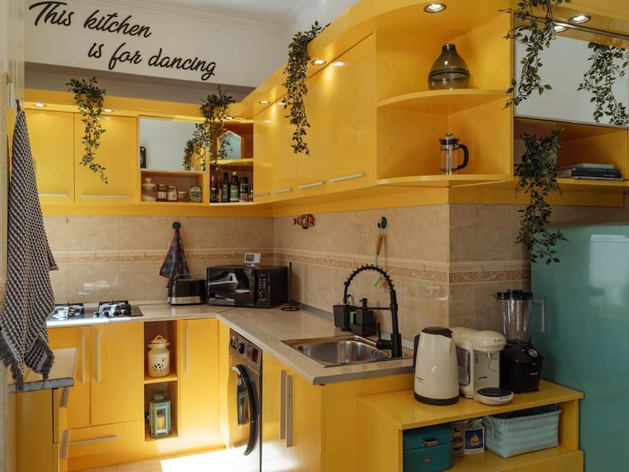 Terrasse Des Plongeurs Apartment Bucureşti Ngoại thất bức ảnh