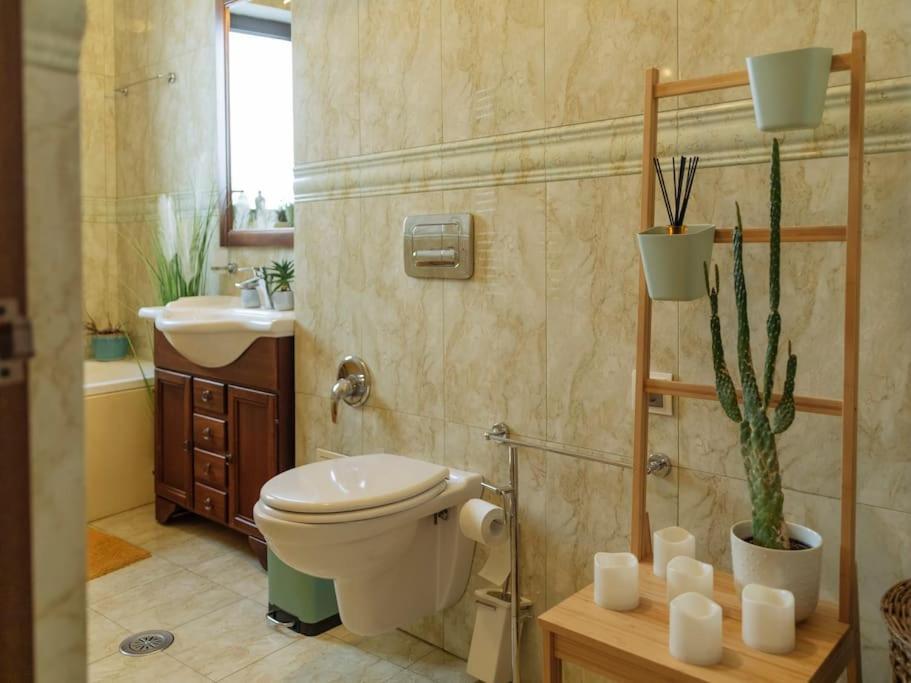 Terrasse Des Plongeurs Apartment Bucureşti Ngoại thất bức ảnh