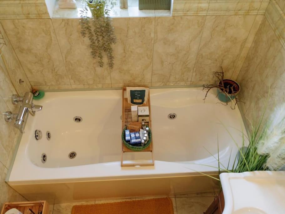 Terrasse Des Plongeurs Apartment Bucureşti Ngoại thất bức ảnh